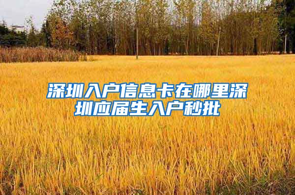 深圳入户信息卡在哪里深圳应届生入户秒批