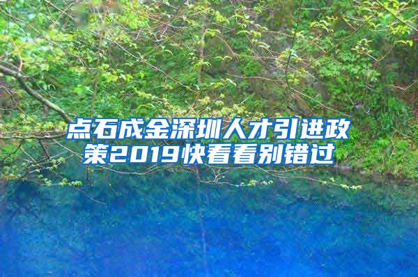 点石成金深圳人才引进政策2019快看看别错过