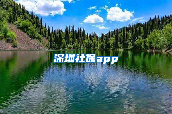 深圳社保app