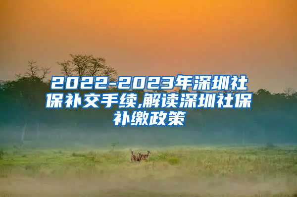 2022-2023年深圳社保补交手续,解读深圳社保补缴政策