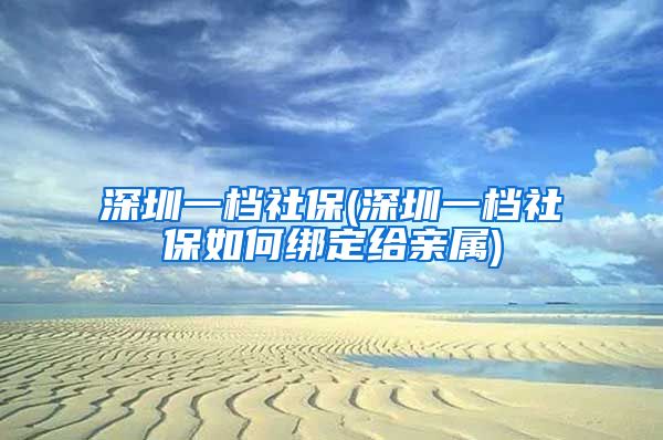 深圳一档社保(深圳一档社保如何绑定给亲属)