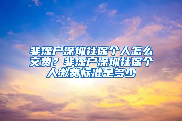 非深户深圳社保个人怎么交费？非深户深圳社保个人缴费标准是多少