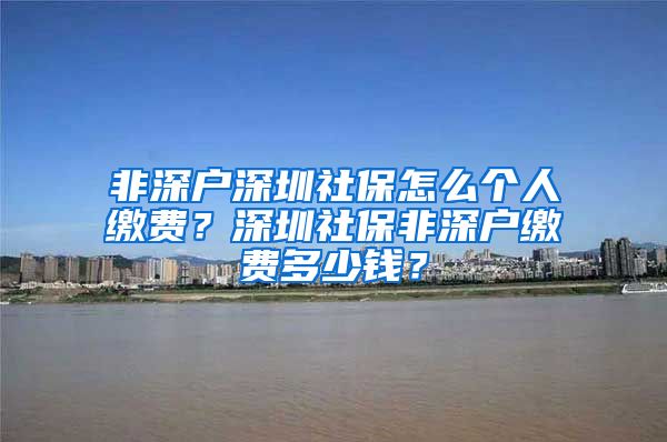 非深户深圳社保怎么个人缴费？深圳社保非深户缴费多少钱？