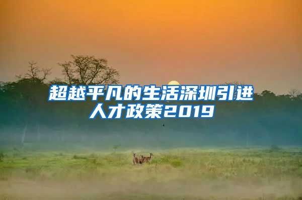 超越平凡的生活深圳引进人才政策2019