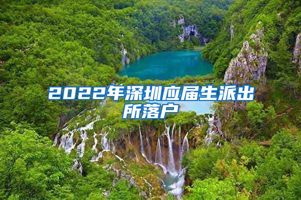 2022年深圳应届生派出所落户