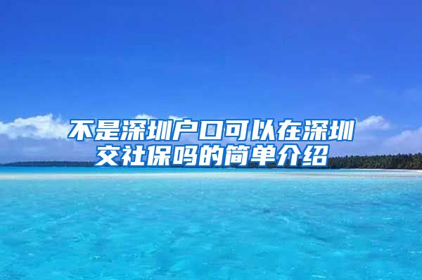 不是深圳户口可以在深圳交社保吗的简单介绍