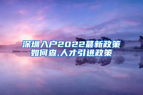 深圳入户2022蕞新政策如何查,人才引进政策