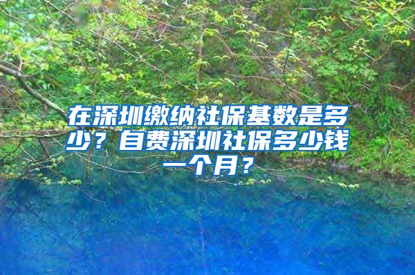 在深圳缴纳社保基数是多少？自费深圳社保多少钱一个月？