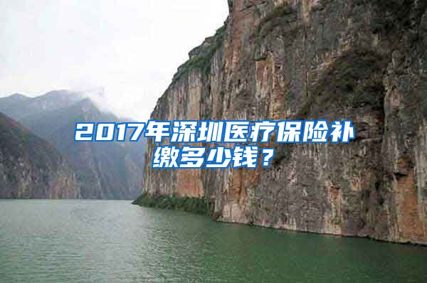 2017年深圳医疗保险补缴多少钱？