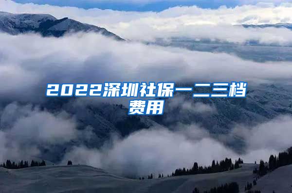 2022深圳社保一二三档费用