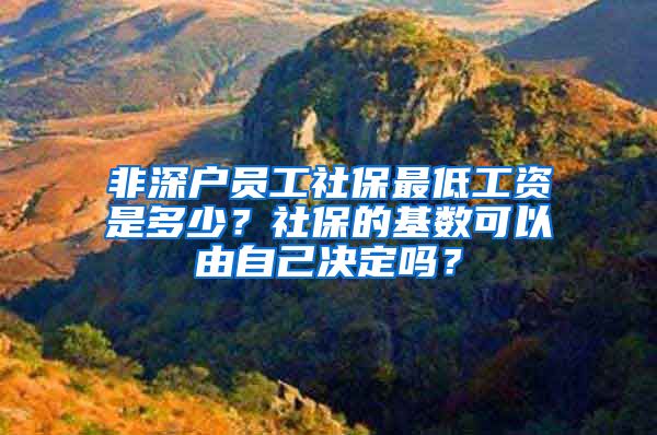 非深户员工社保最低工资是多少？社保的基数可以由自己决定吗？