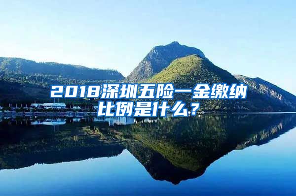 2018深圳五险一金缴纳比例是什么？