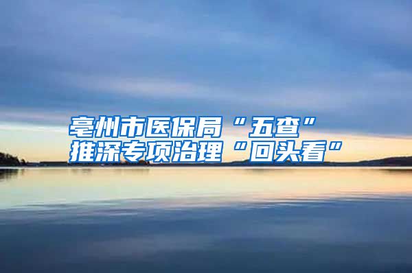 亳州市医保局“五查” 推深专项治理“回头看”