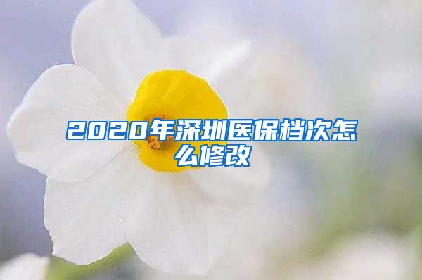 2020年深圳医保档次怎么修改