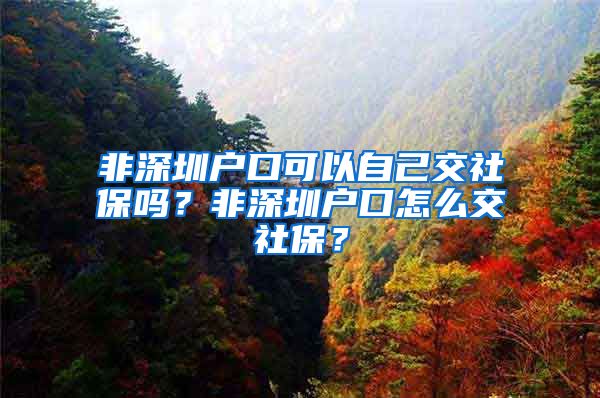 非深圳户口可以自己交社保吗？非深圳户口怎么交社保？