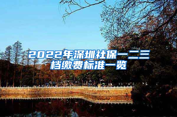 2022年深圳社保一二三档缴费标准一览