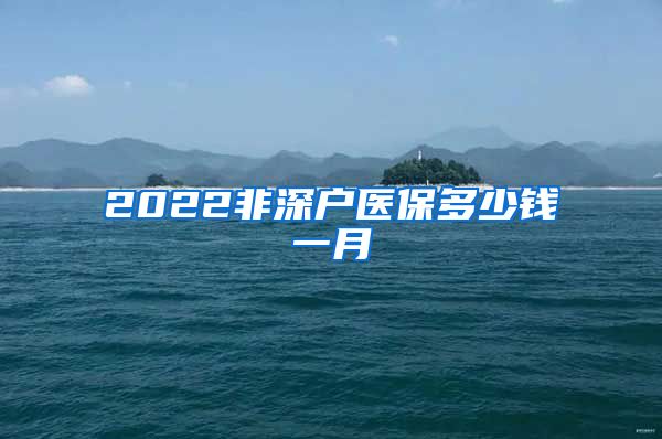 2022非深户医保多少钱一月