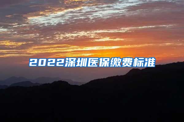 2022深圳医保缴费标准