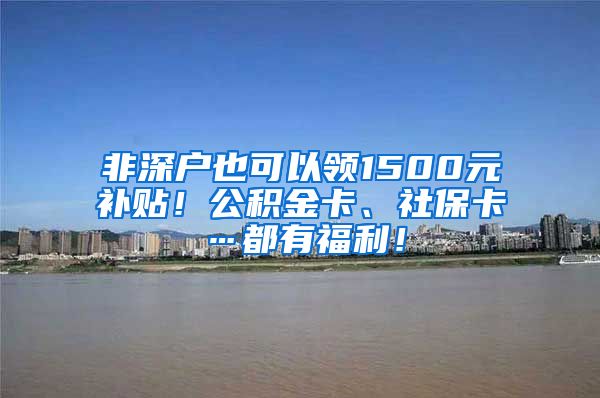 非深户也可以领1500元补贴！公积金卡、社保卡…都有福利！