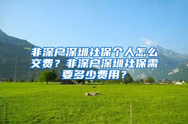 非深户深圳社保个人怎么交费？非深户深圳社保需要多少费用？