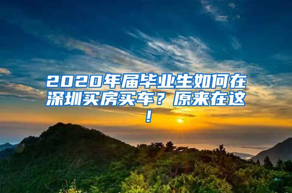 2020年届毕业生如何在深圳买房买车？原来在这！