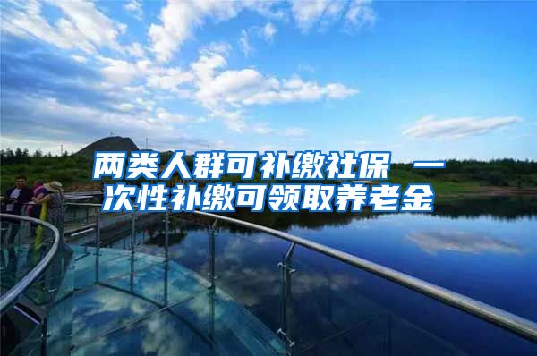 两类人群可补缴社保 一次性补缴可领取养老金