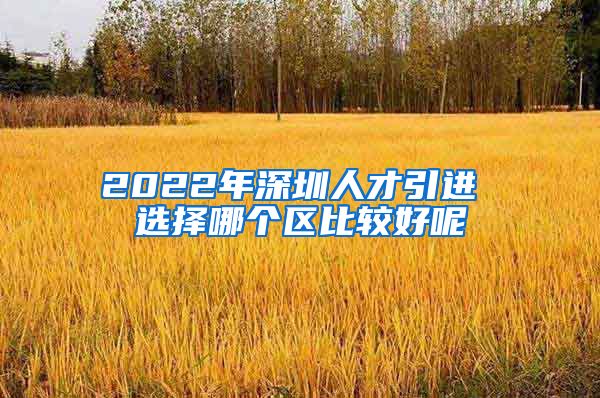 2022年深圳人才引进 选择哪个区比较好呢