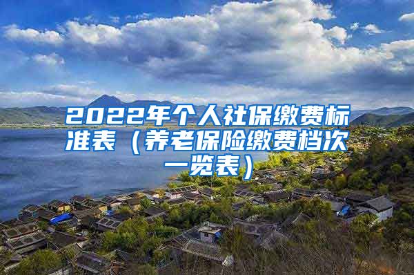 2022年个人社保缴费标准表（养老保险缴费档次一览表）