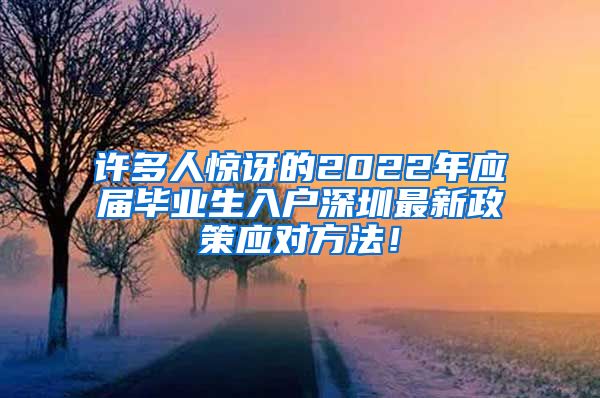 许多人惊讶的2022年应届毕业生入户深圳最新政策应对方法！