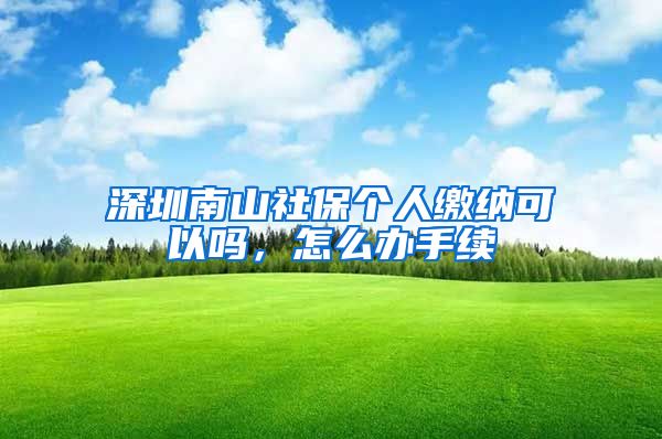 深圳南山社保个人缴纳可以吗，怎么办手续