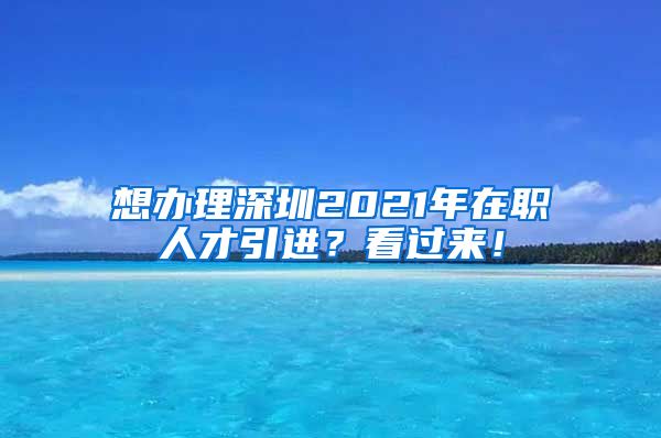 想办理深圳2021年在职人才引进？看过来！