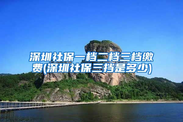 深圳社保一档二档三档缴费(深圳社保三挡是多少)