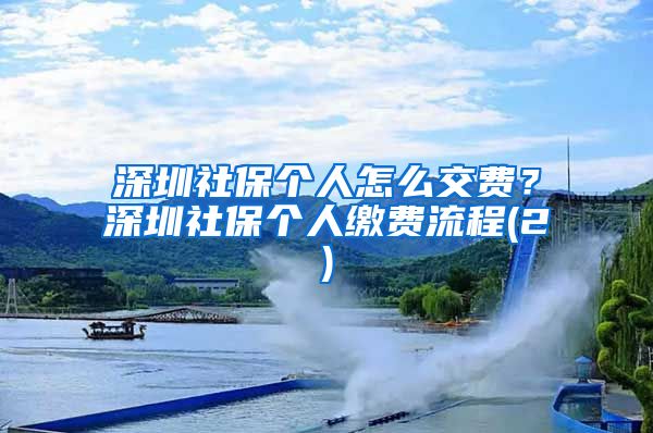 深圳社保个人怎么交费？深圳社保个人缴费流程(2)