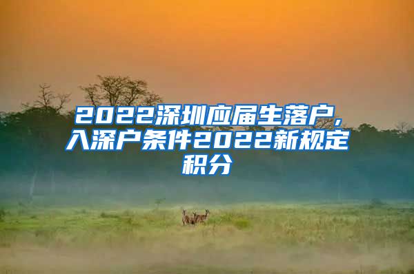 2022深圳应届生落户,入深户条件2022新规定积分