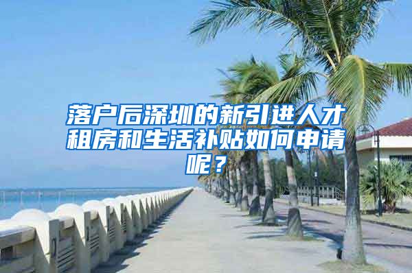 落户后深圳的新引进人才租房和生活补贴如何申请呢？