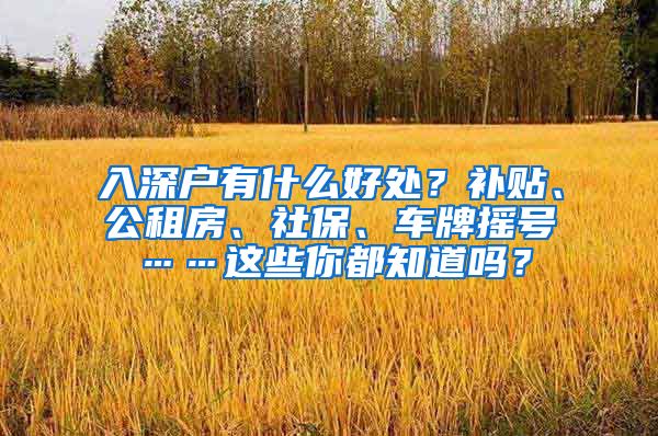 入深户有什么好处？补贴、公租房、社保、车牌摇号……这些你都知道吗？