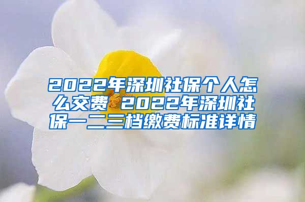 2022年深圳社保个人怎么交费 2022年深圳社保一二三档缴费标准详情