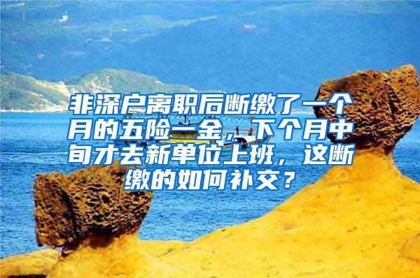 非深户离职后断缴了一个月的五险一金，下个月中旬才去新单位上班，这断缴的如何补交？