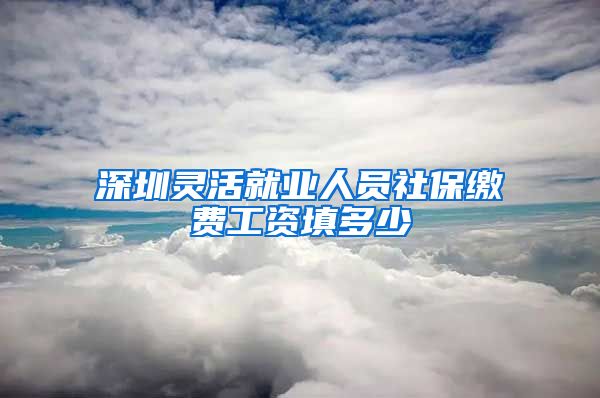 深圳灵活就业人员社保缴费工资填多少