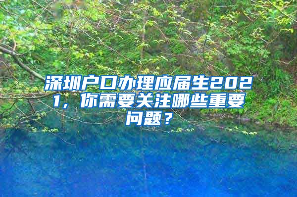 深圳户口办理应届生2021，你需要关注哪些重要问题？