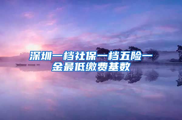 深圳一档社保一档五险一金最低缴费基数