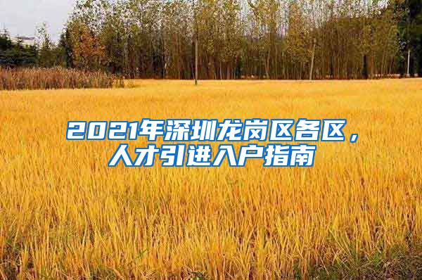 2021年深圳龙岗区各区，人才引进入户指南