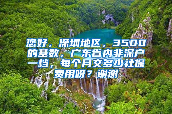 您好，深圳地区，3500的基数，广东省内非深户一档，每个月交多少社保费用呀？谢谢