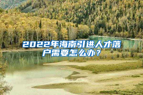 2022年海南引进人才落户需要怎么办？