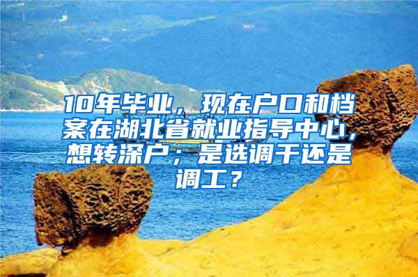 10年毕业，现在户口和档案在湖北省就业指导中心，想转深户；是选调干还是调工？