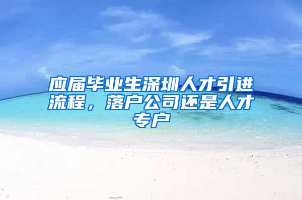 应届毕业生深圳人才引进流程，落户公司还是人才专户