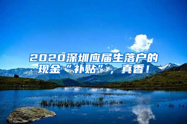 2020深圳应届生落户的现金“补贴”，真香！