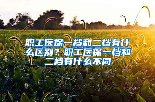 职工医保一档和二档有什么区别？职工医保一档和二档有什么不同