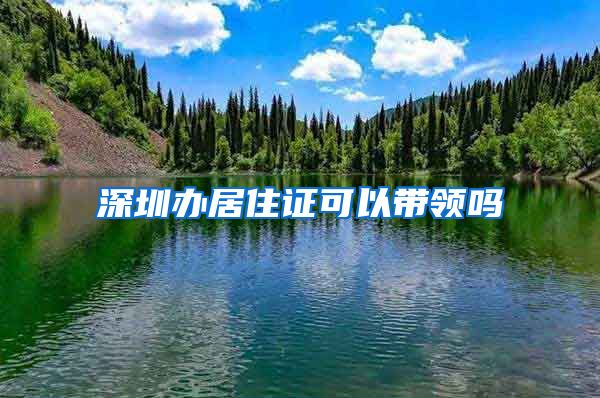 深圳办居住证可以带领吗