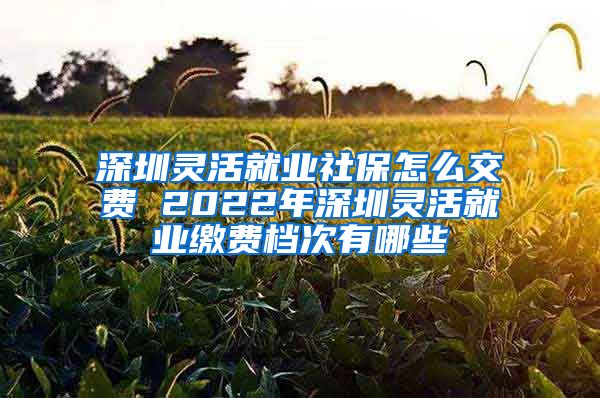 深圳灵活就业社保怎么交费 2022年深圳灵活就业缴费档次有哪些